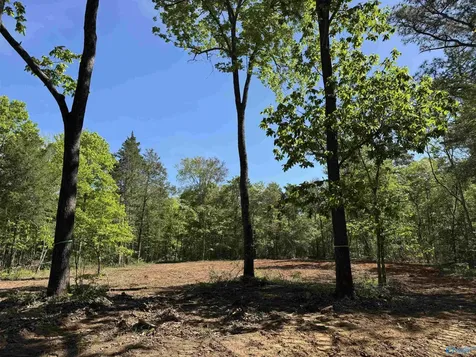 18 Paramount Drive Grant AL 35747