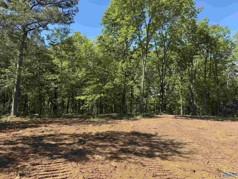 18 Paramount Drive Grant AL 35747