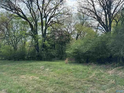 18 Paramount Drive Grant AL 35747