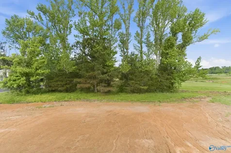 2253 Old Union Road Grant AL 35747
