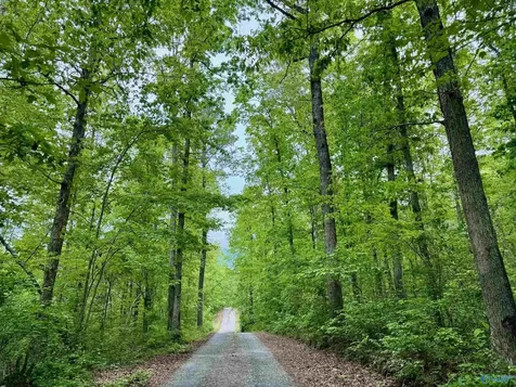 Lot 40 Road 9050 Mentone AL 35984