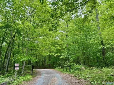 Lot 40 Road 9050 Mentone AL 35984