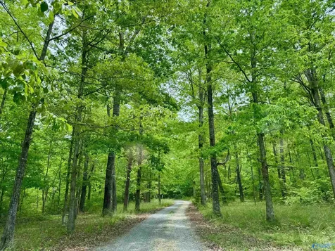 Lot 40 Road 9050 Mentone AL 35984