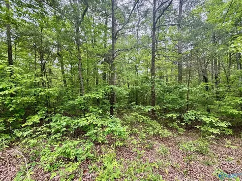 Lot 40 Road 9050 Mentone AL 35984