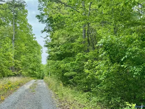 Lot 40 Road 9050 Mentone AL 35984
