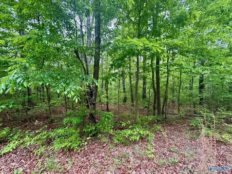 Lot 40 Road 9050 Mentone AL 35984