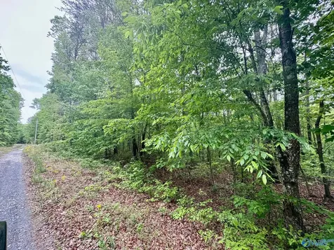 Lot 40 Road 9050 Mentone AL 35984