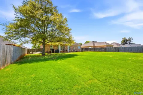 25833 Iron Gate Drive Madison AL 35756