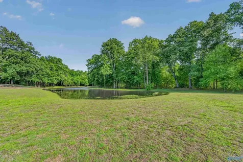 230 Twin Lakes Drive New Market AL 35761