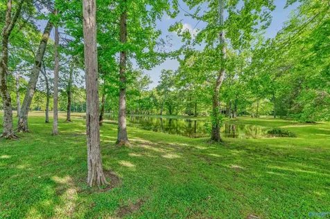 230 Twin Lakes Drive New Market AL 35761