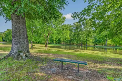 230 Twin Lakes Drive New Market AL 35761
