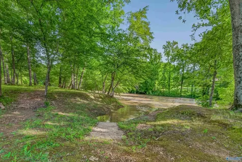 230 Twin Lakes Drive New Market AL 35761