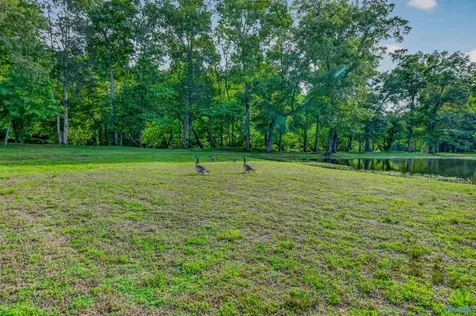 230 Twin Lakes Drive New Market AL 35761