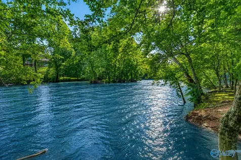 230 Twin Lakes Drive New Market AL 35761