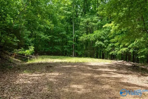 L26 Snug Harbor Road Grant AL 35747
