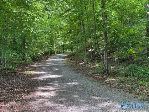 L26 Snug Harbor Road Grant AL 35747