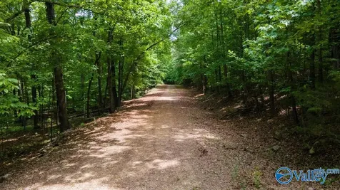 L26 Snug Harbor Road Grant AL 35747