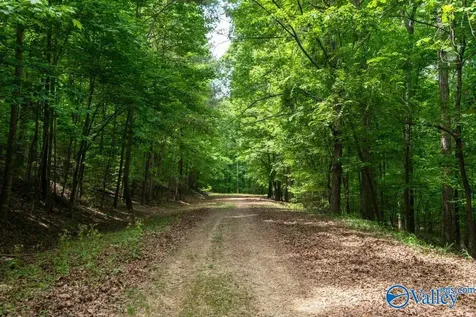 L26 Snug Harbor Road Grant AL 35747