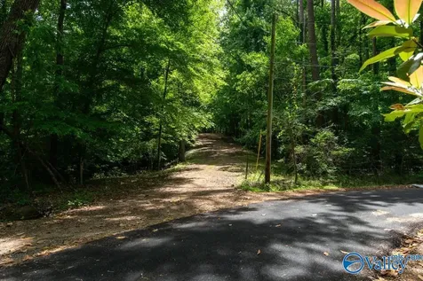 L26 Snug Harbor Road Grant AL 35747