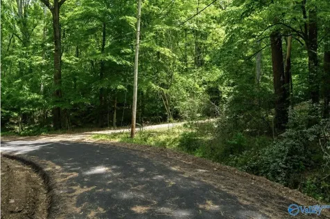 L26 Snug Harbor Road Grant AL 35747