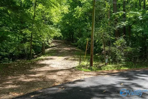 L26 Snug Harbor Road Grant AL 35747