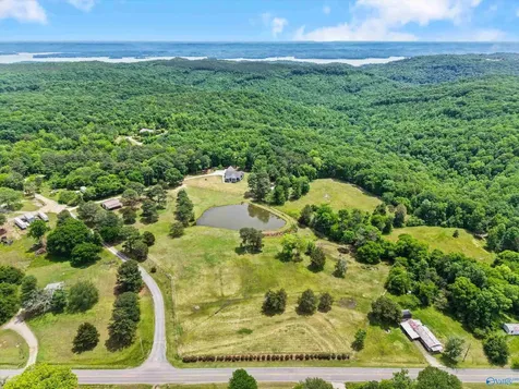 92 Dogwood Lane Grant AL 35747