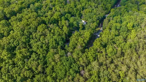 72 Road 9083 Mentone AL 35984