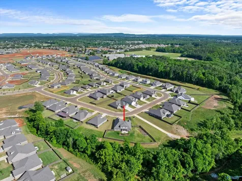 29198 Canoe Circle Harvest AL 35749