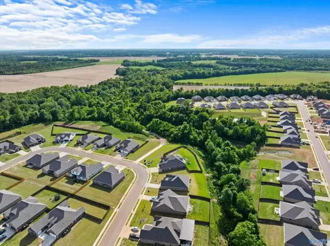 29198 Canoe Circle Harvest AL 35749