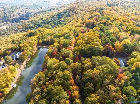 900 County Road 839 Mentone AL 35984