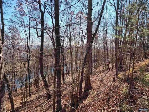 900 County Road 839 Mentone AL 35984