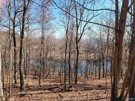 900 County Road 839 Mentone AL 35984