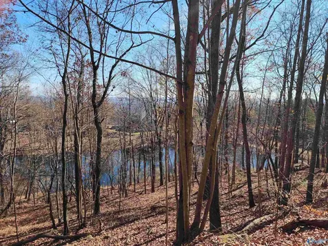 900 County Road 839 Mentone AL 35984