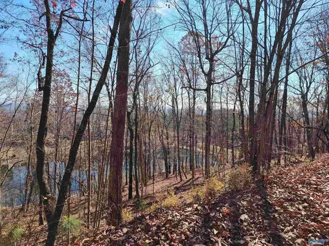 900 County Road 839 Mentone AL 35984