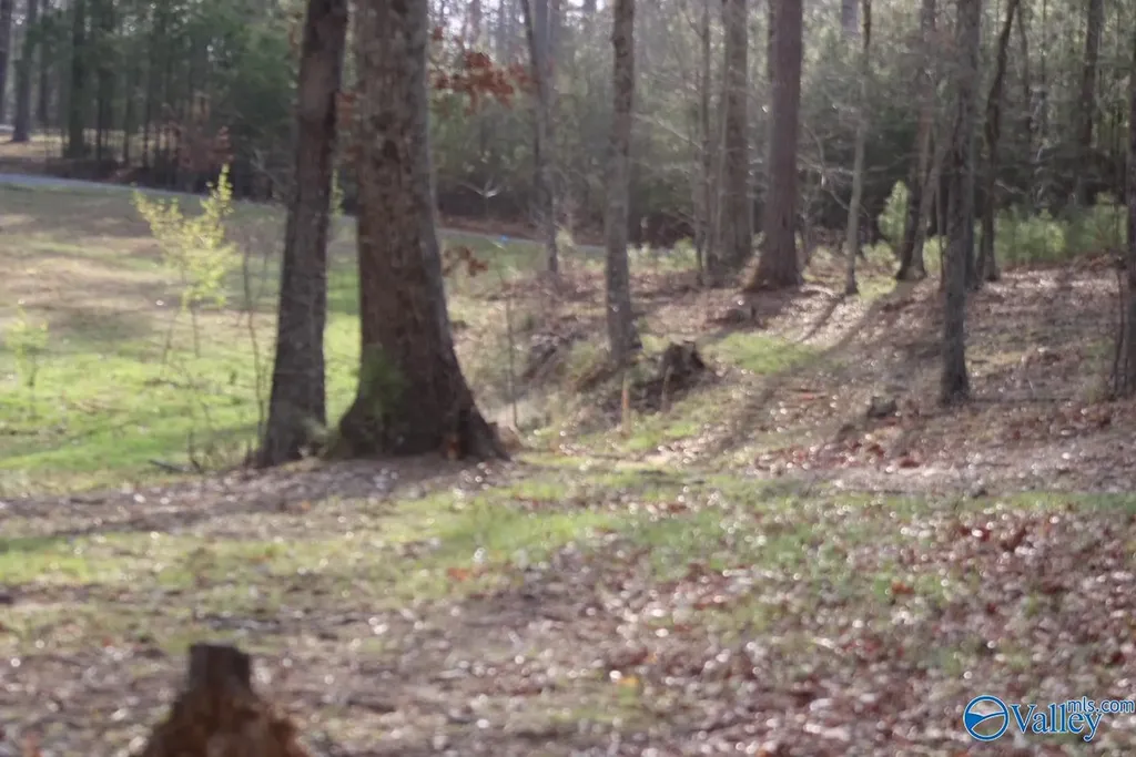 1805 County Road 103 Mentone AL 35984
