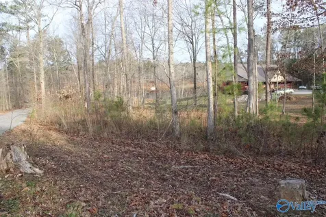 1805 County Road 103 Mentone AL 35984