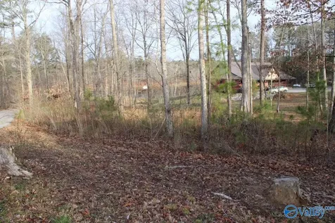 1805 County Road 103 Mentone AL 35984