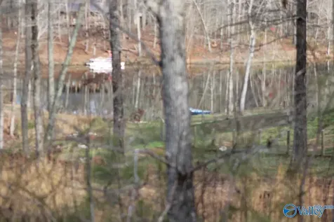 1805 County Road 103 Mentone AL 35984