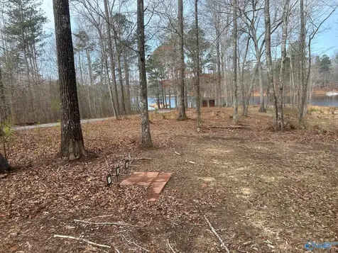 1805 County Road 103 Mentone AL 35984
