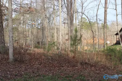 1805 County Road 103 Mentone AL 35984