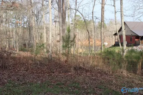 1805 County Road 103 Mentone AL 35984