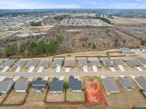 16560 Demi Drive Athens AL 35613
