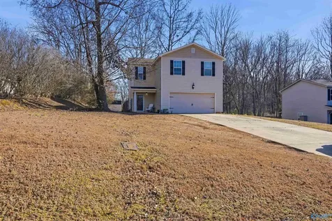 311 Jacks Road New Market AL 35761
