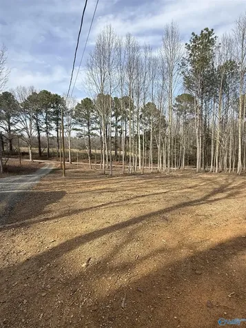 2627 County Road 1740 Holly Pond AL 35083