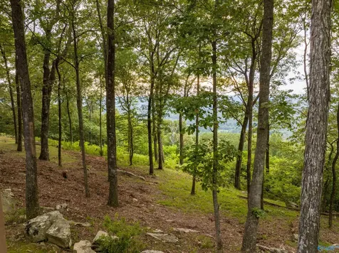 17515 County Road 89 Mentone AL 35984
