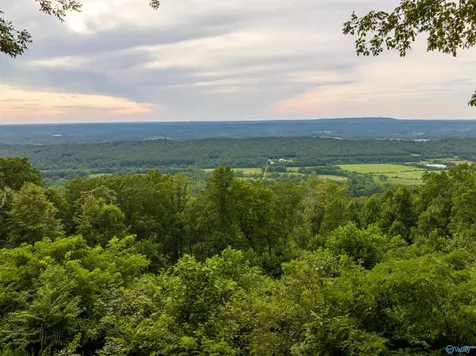 17515 County Road 89 Mentone AL 35984