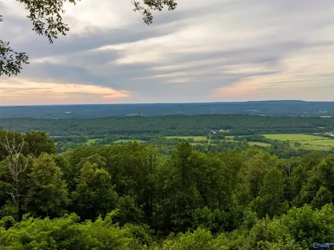 17515 County Road 89 Mentone AL 35984