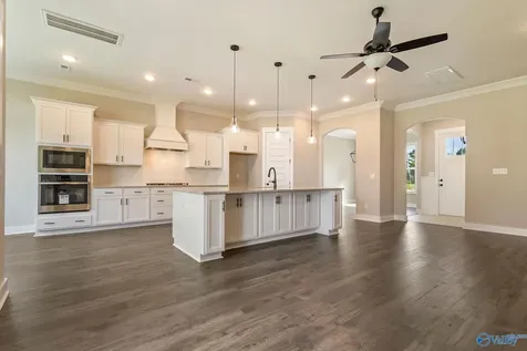 10541 Cedar Acres Lane Madison AL 35756