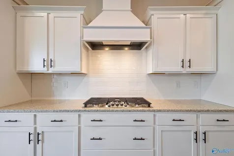 10541 Cedar Acres Lane Madison AL 35756