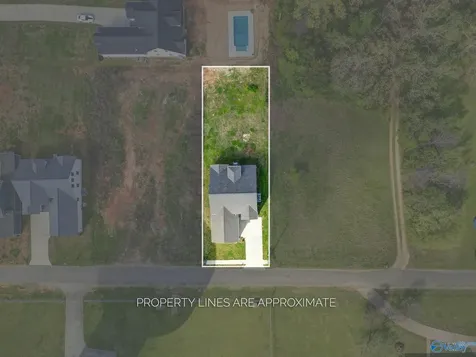 10541 Cedar Acres Lane Madison AL 35756